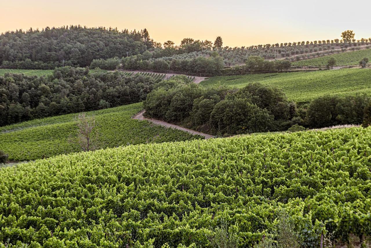 Agriturismo Concadoro Villa Кастелина ин Кианти Екстериор снимка