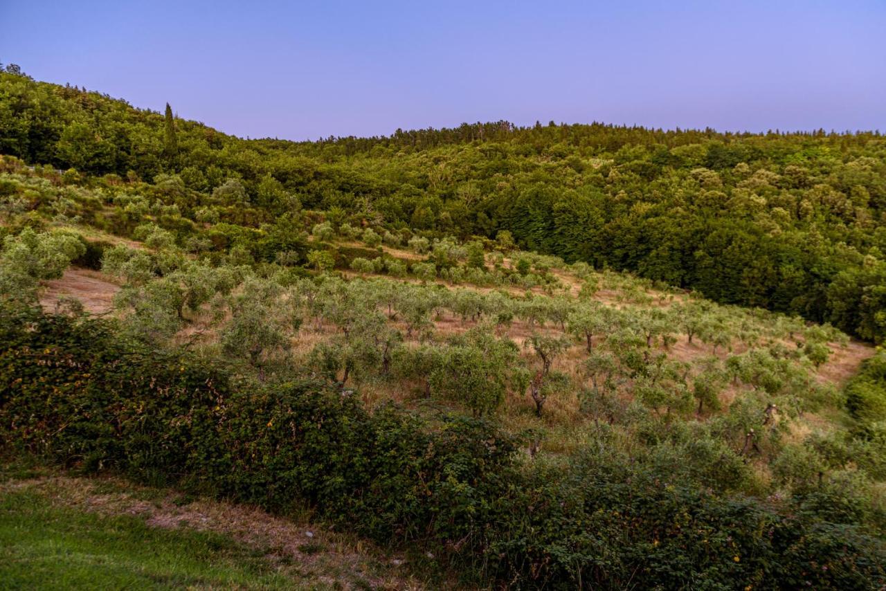 Agriturismo Concadoro Villa Кастелина ин Кианти Екстериор снимка